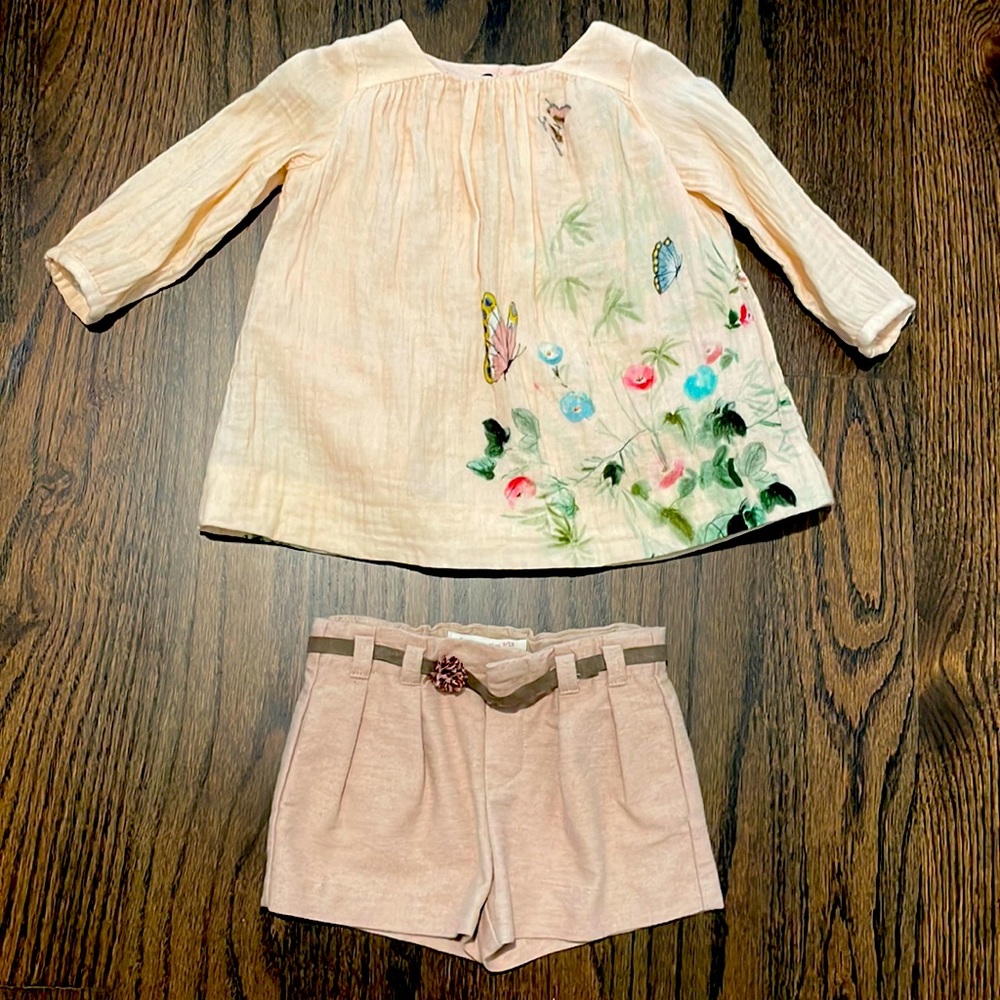 Zara Baby Girl Butterfly Outfit